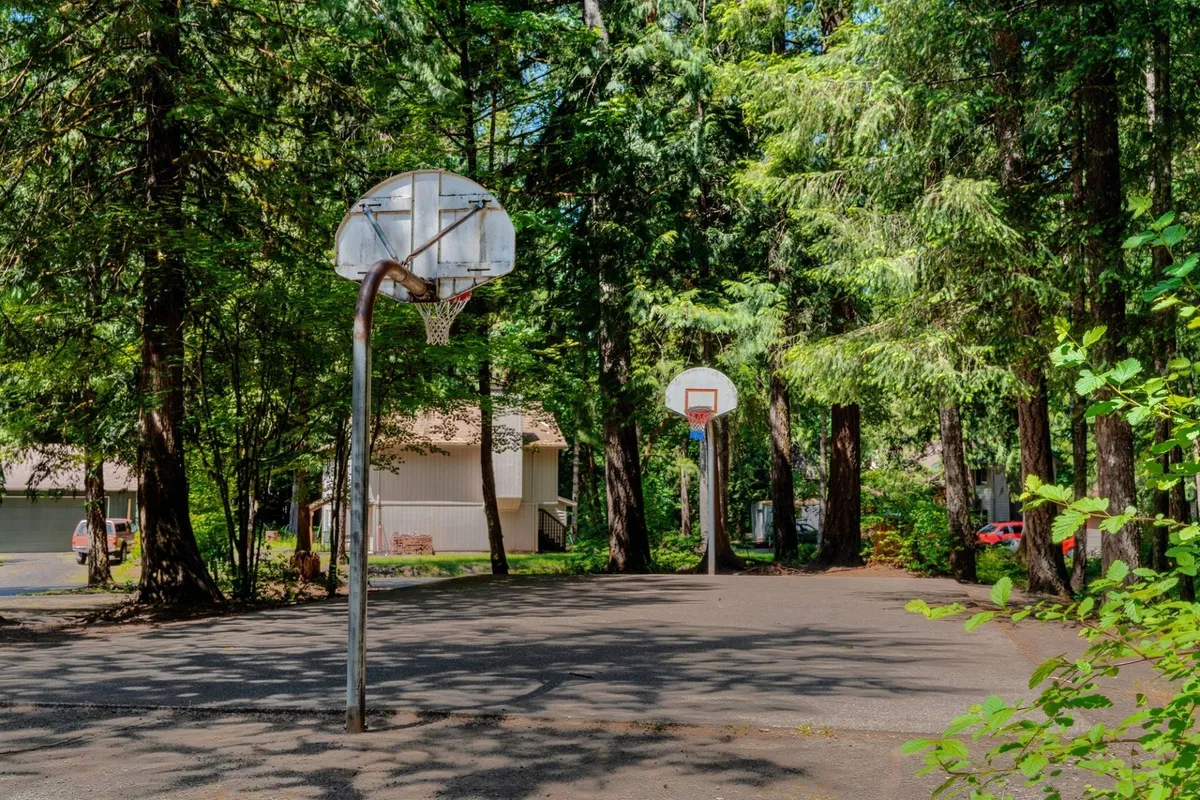 This exterior shot showcases a well-maintained basketball court with hoops set amid tall trees, inviting guests for friendly competition and active fun. The setting is outdoors and energetic, perfectly matching the mention of courts in the amenities list.