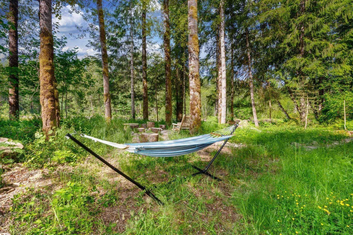 A peaceful backyard scene with a hammock, wooden chairs, a fire pit, and wildflowers framed by trees. The relaxed setup encourages lounging, stargazing, or simply enjoying fresh air with canine companions.