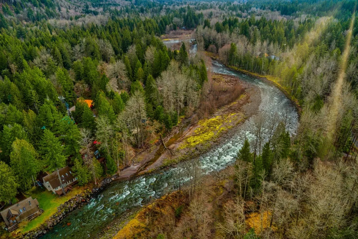 A wide shot of a meandering river bordered by a dense forest, with scattered cabins and rocky riverbanks. The natural landscape is tranquil and expansive, inviting exploration and outdoor activities with your dog.